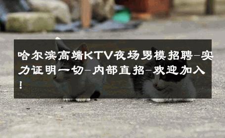 哈尔滨高端KTV夜场男模招聘-实力证明一切-内部直招-欢迎加入！ 