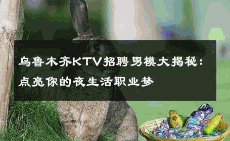 乌鲁木齐KTV招聘男模大揭秘：点亮你的夜生活职业梦 