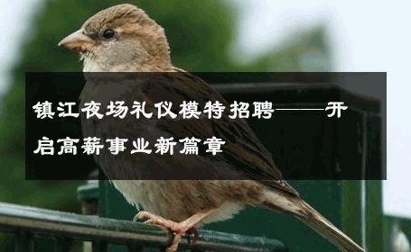 镇江夜场礼仪模特招聘——开启高薪事业新篇章