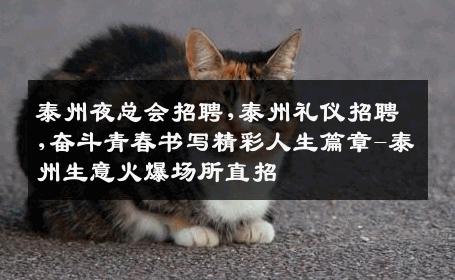 泰州夜总会招聘,泰州礼仪招聘,奋斗青春书写精彩人生篇章-泰州生意火爆场所直招