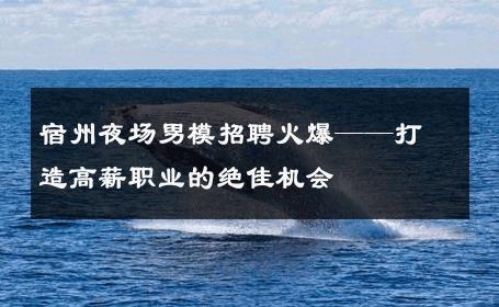 宿州夜场男模招聘火爆——打造高薪职业的绝佳机会 
