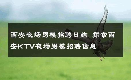 西安夜场男模招聘日结-探索西安KTV夜场男模招聘信息 