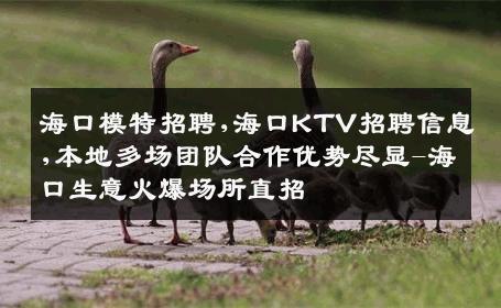 海口模特招聘,海口KTV招聘信息,本地多场团队合作优势尽显-海口生意火爆场所直招