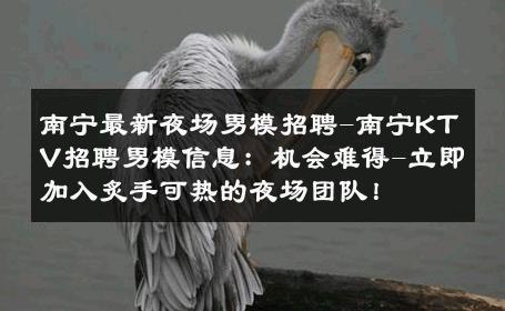 南宁最新夜场男模招聘-南宁KTV招聘男模信息：机会难得-立即加入炙手可热的夜场团队！ 