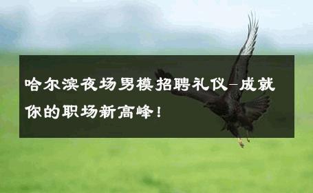 哈尔滨夜场男模招聘礼仪-成就你的职场新高峰！ 