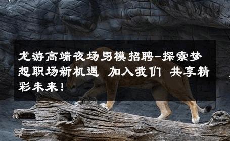 龙游高端夜场男模招聘-探索梦想职场新机遇-加入我们-共享精彩未来！ 