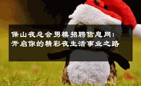保山夜总会男模招聘信息网：开启你的精彩夜生活事业之路 
