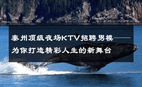 泰州顶级夜场KTV招聘男模——为你打造精彩人生的新舞台 