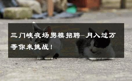 三门峡夜场男模招聘-月入过万等你来挑战！ 