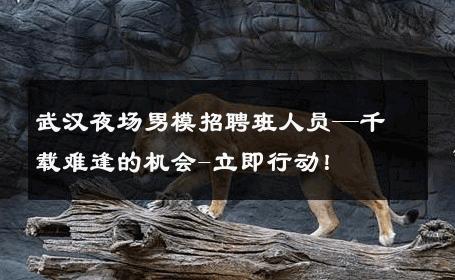 武汉夜场男模招聘班人员—千载难逢的机会-立即行动！ 