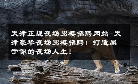 天津正规夜场男模招聘网站-天津豪华夜场男模招聘：打造属于你的夜场人生！ 