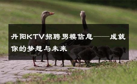 丹阳KTV招聘男模信息——成就你的梦想与未来 