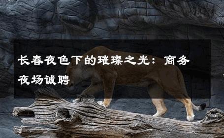 长春夜色下的璀璨之光：商务夜场诚聘 