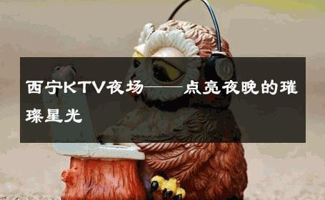 西宁KTV夜场——点亮夜晚的璀璨星光 