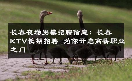 长春夜场男模招聘信息：长春KTV长期招聘-为你开启高薪职业之门 