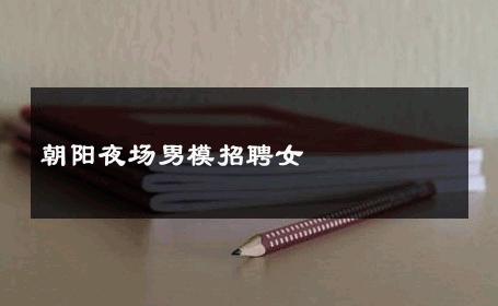 朝阳夜场男模招聘女 
