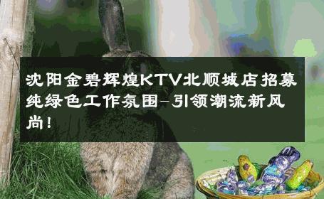沈阳金碧辉煌KTV北顺城店招募纯绿色工作氛围-引领潮流新风尚！ 
