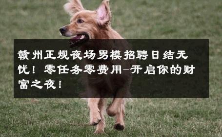 赣州正规夜场男模招聘日结无忧！零任务零费用-开启你的财富之夜！ 