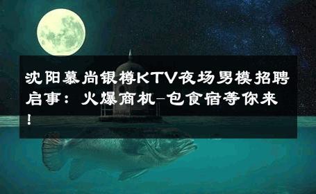 沈阳慕尚银樽KTV夜场男模招聘启事：火爆商机-包食宿等你来！ 