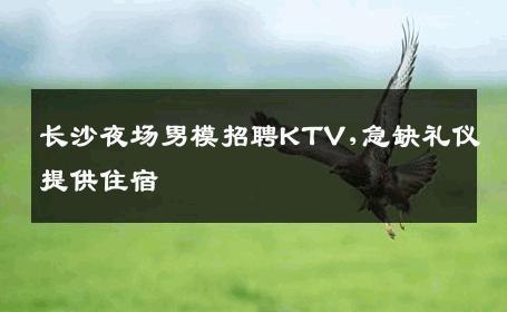 长沙夜场男模招聘KTV,急缺礼仪提供住宿 