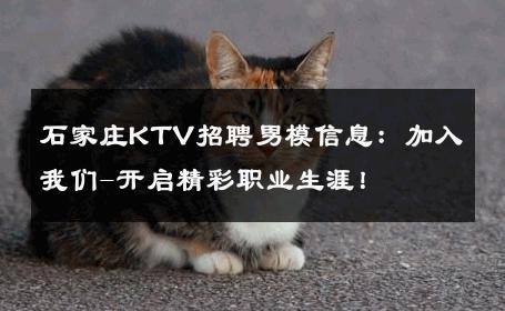 石家庄KTV招聘男模信息：加入我们-开启精彩职业生涯！ 