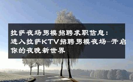 拉萨夜场男模招聘求职信息：进入拉萨KTV招聘男模夜场-开启你的夜晚新世界 