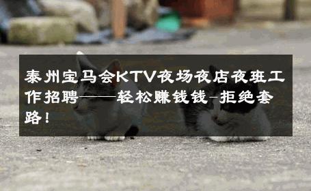 泰州宝马会KTV夜场夜店夜班工作招聘——轻松赚钱钱-拒绝套路！ 