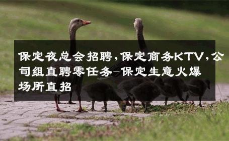 保定夜总会招聘,保定商务KTV,公司组直聘零任务-保定生意火爆场所直招