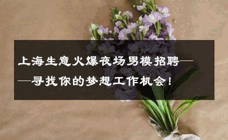 上海生意火爆夜场男模招聘——寻找你的梦想工作机会！ 