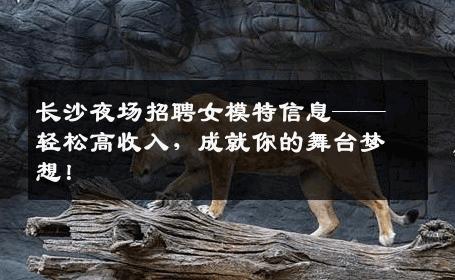 长沙夜场招聘女模特信息——轻松高收入，成就你的舞台梦想！