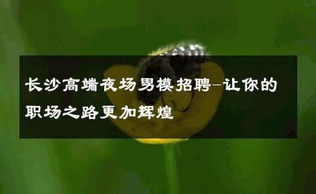 长沙高端夜场男模招聘-让你的职场之路更加辉煌 