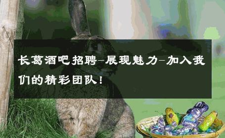 长葛酒吧招聘-展现魅力-加入我们的精彩团队！ 