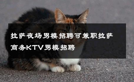 拉萨夜场男模招聘可兼职拉萨商务KTV男模招聘 