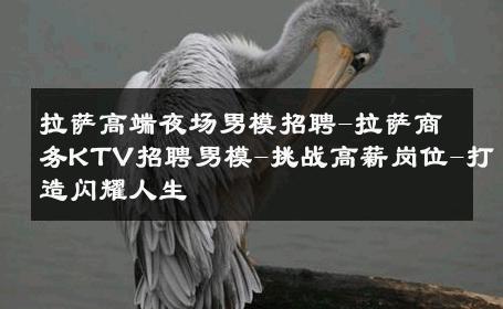 拉萨高端夜场男模招聘-拉萨商务KTV招聘男模-挑战高薪岗位-打造闪耀人生 