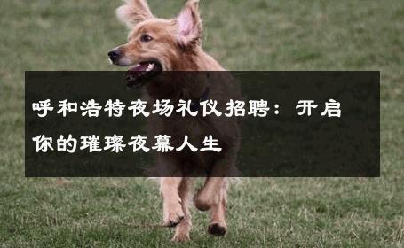 呼和浩特夜场礼仪招聘：开启你的璀璨夜幕人生 