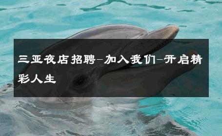 三亚夜店招聘-加入我们-开启精彩人生 