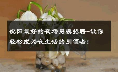 沈阳最好的夜场男模招聘-让你轻松成为夜生活的引领者！ 