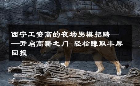 西宁工资高的夜场男模招聘——开启高薪之门-轻松赚取丰厚回报 