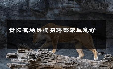贵阳夜场男模招聘哪家生意好 