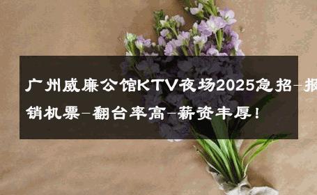 广州威廉公馆KTV夜场2025急招-报销机票-翻台率高-薪资丰厚！ 