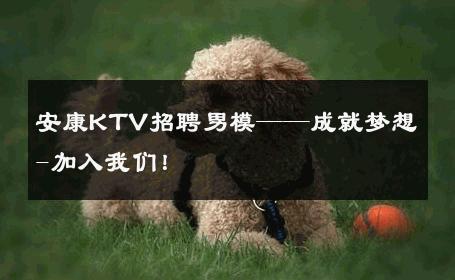 安康KTV招聘男模——成就梦想-加入我们！ 