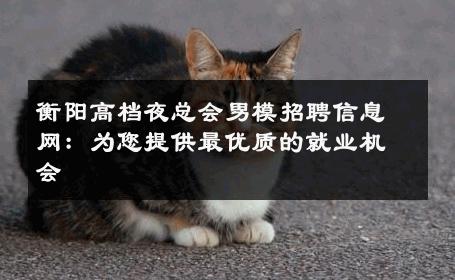 衡阳高档夜总会男模招聘信息网：为您提供最优质的就业机会 