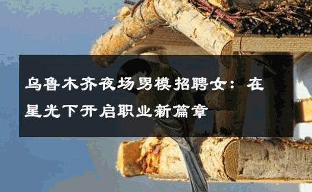乌鲁木齐夜场男模招聘女：在星光下开启职业新篇章 