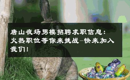 唐山夜场男模招聘求职信息：火热职位等你来挑战-快来加入我们！ 