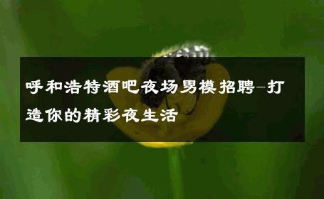 呼和浩特酒吧夜场男模招聘-打造你的精彩夜生活 