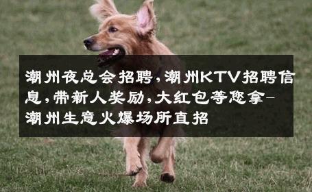潮州夜总会招聘,潮州KTV招聘信息,带新人奖励,大红包等您拿-潮州生意火爆场所直招