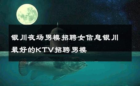 银川夜场男模招聘女信息银川最好的KTV招聘男模 
