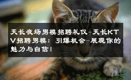 天长夜场男模招聘礼仪-天长KTV招聘男模：引爆机会-展现你的魅力与自信！ 