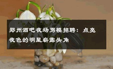 郑州酒吧夜场男模招聘：点亮夜色的明星崭露头角 