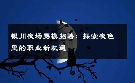 银川夜场男模招聘：探索夜色里的职业新机遇 